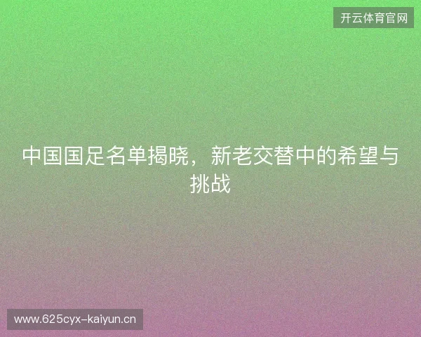 中国国足名单揭晓，新老交替中的希望与挑战