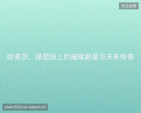 哈弗茨，绿茵场上的璀璨新星与未来传奇
